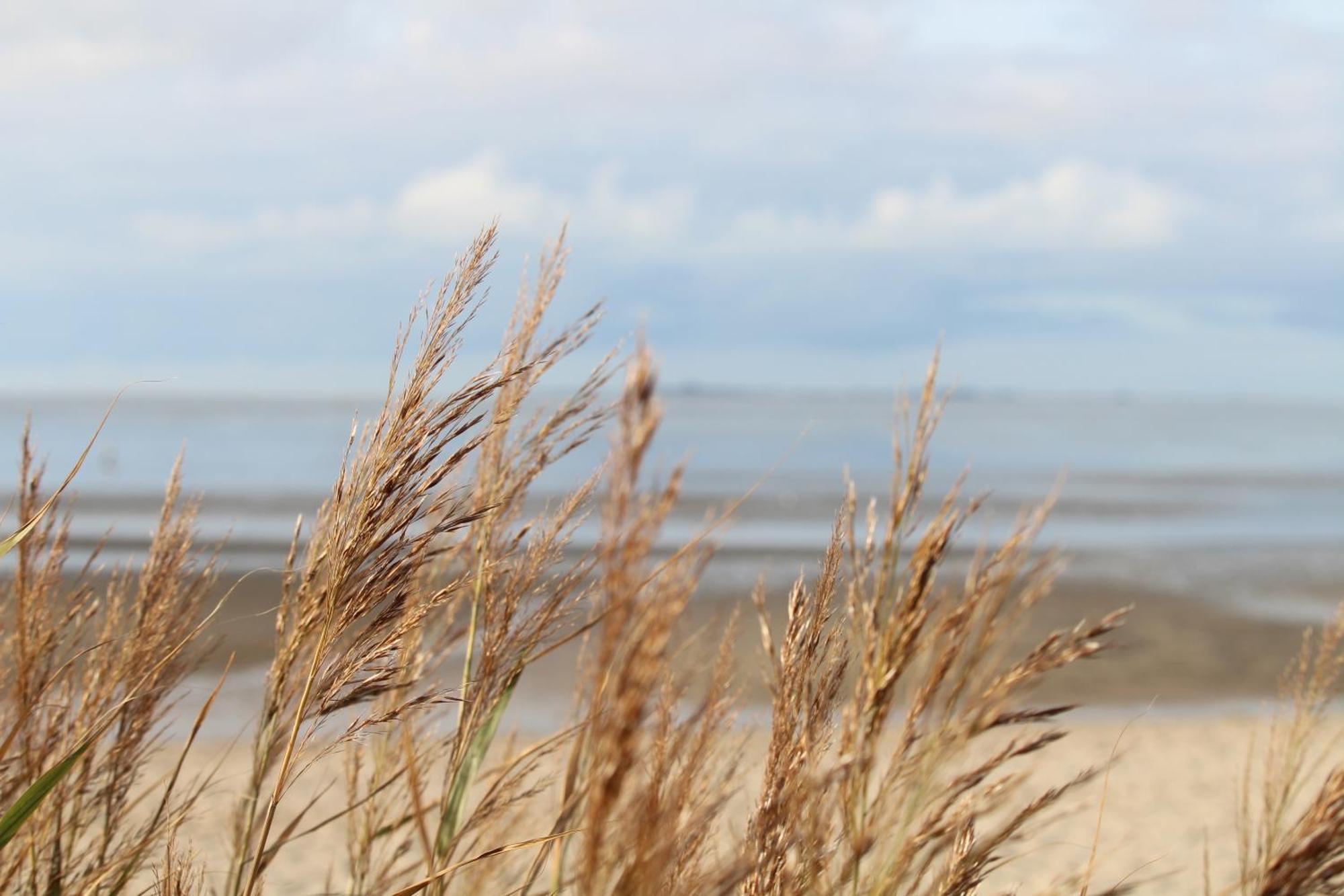 Steffis-Strand-Schule Cuxhaven Esterno foto
